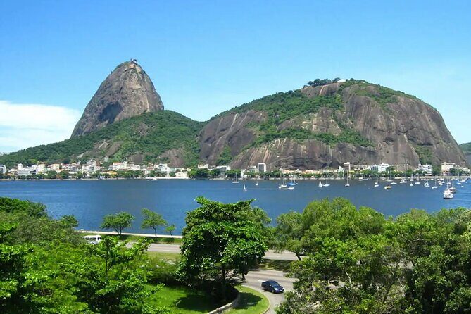 1-hour Watercolor Class with a View of Sugarloaf Mountain - Dog-Friendly Rio: Yes, Your Pet Can Come