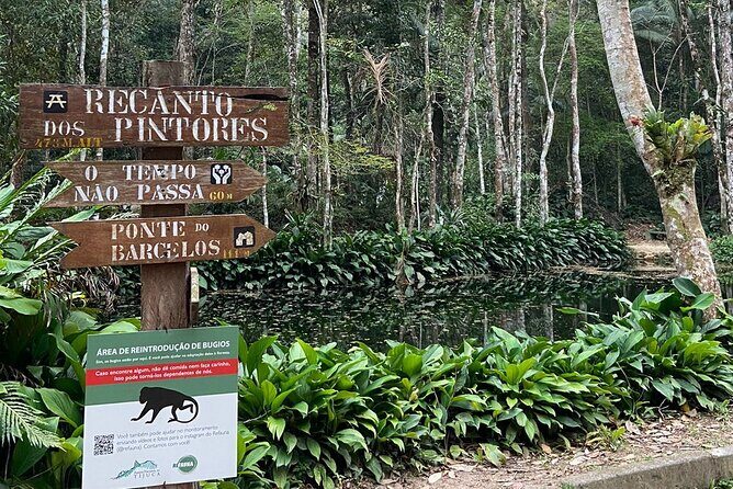 4x4 Tijuca National Park Rio de janeiro - Cascatinha Taunay: Waterfall Views and a Natural Lagoon Swim Break