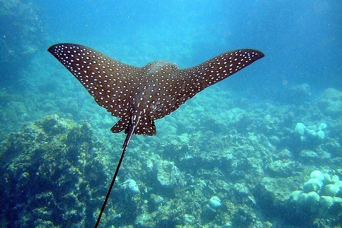 A BOAT TOUR to the TIJUCAS ISLANDS with an AMAZING UNDERWATER FLIGHT! FRESH AIR AND FREEDOM! - Getting There Without Taxi Headaches