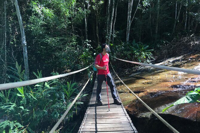 Adventure & History at Tijuca Forest (small group or private) - Why Tijuca Forest Feels Like Another World in Rio