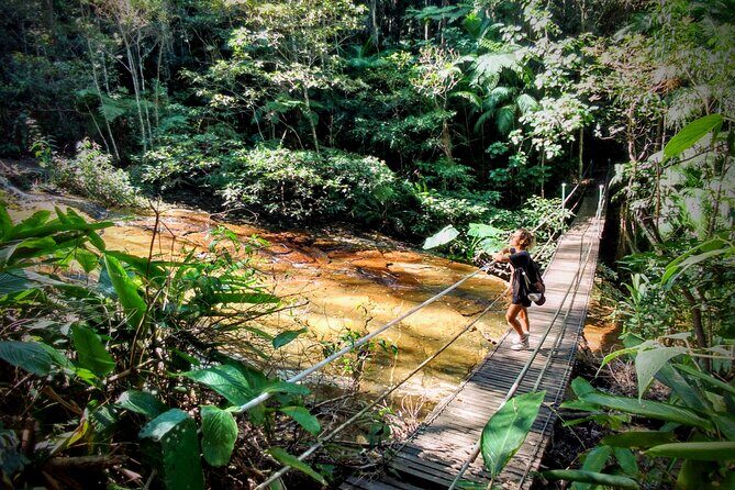 Adventure & History at Tijuca Forest (small group or private) - The 6km Loop Hike: Pace, Elevation Gain, and Terrain