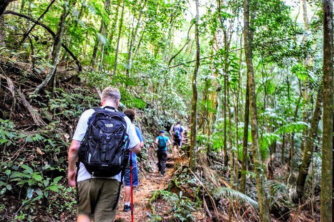 Adventure & History at Tijuca Forest (small group or private) - Small-Group Format: What Max 6 People Changes for Your Morning