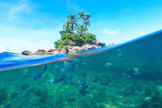 Angra dos Reis: A unique experience in paradise - Botinas Island and the First Panoramic Hit