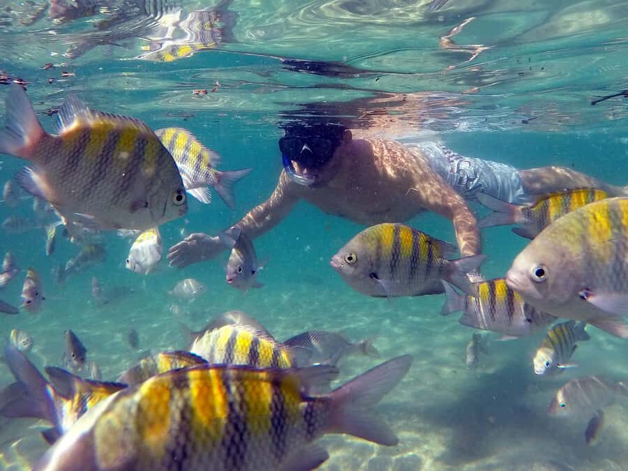 Angra dos Reis and Ilha Grande: Small-Group Fast-Boat Tour - Island hopping plan: up to five stops and real-world flexibility