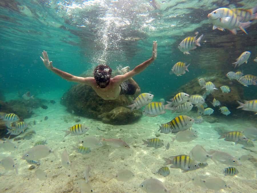 Angra dos Reis and Ilha Grande: Small-Group Fast-Boat Tour - Green Lagoon: another swimming option, different vibes
