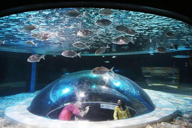 AquaRio Small Group Guided Tour with entrance and transfer - Why this 4-hour AquaRio plan feels smarter than going alone