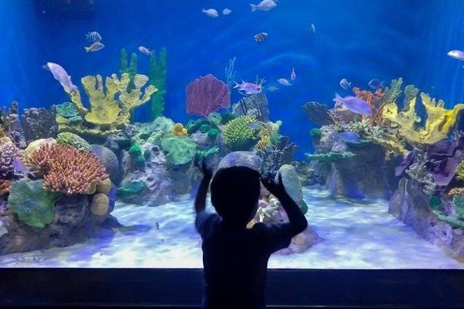 AquaRio Small Group Guided Tour with entrance and transfer - Guides who turn aquarium time into Rio time (Marco and Meilin examples)