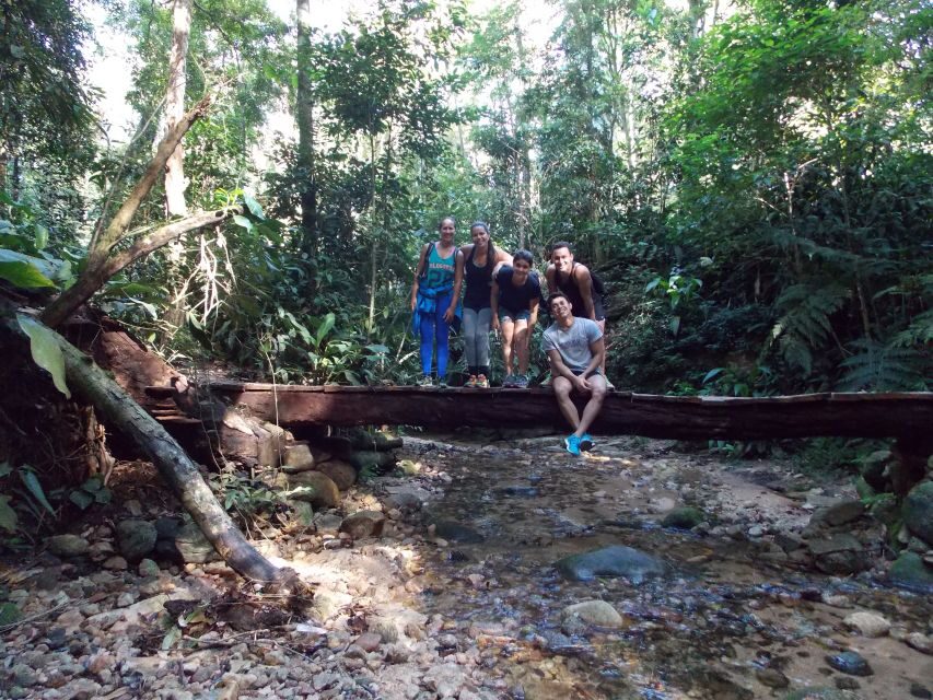 Bico do Papagaio Guided Hiking Tour in the Tijuca Forest - Price and value: is $59 a fair deal?