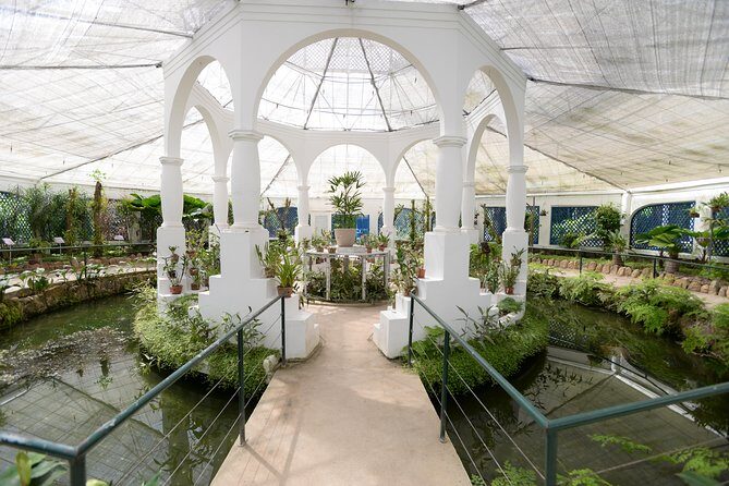 Botanical Garden and Parque Lage Private Tour with a Photographer - The photography: getting natural portraits without the awkwardness