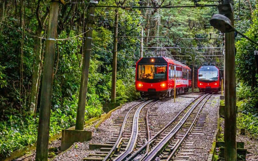 Christ the Redeemer Entry Ticket by Corcovado Train - FAQ