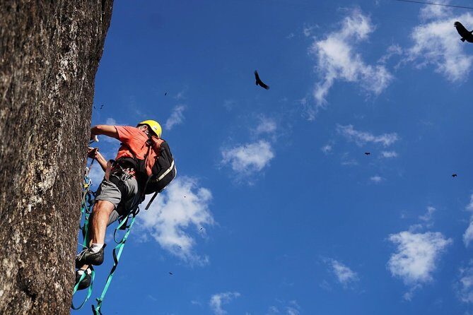 Climb Rio de Janeiro: Rock Climbing Tailored for All Levels - What happens during the ~3 hours