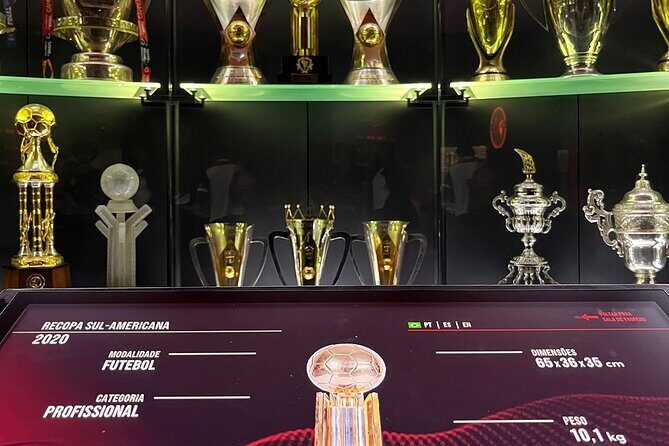Football in Rio: Visit to the Flamengo Museum - Who should book this tour, and who might skip it