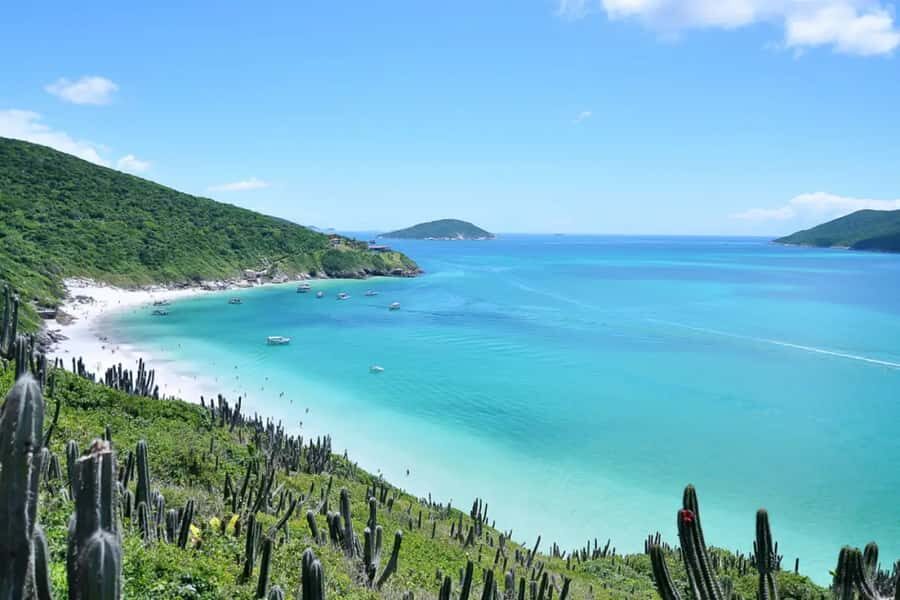 From Rio de Janeiro: Arraial do Cabo Island Day Trip - Key highlights to know before you go