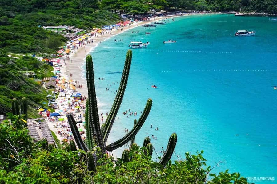 From Rio de Janeiro: Arraial do Cabo Island Day Trip - Lunch and costs: is this $67 price actually good value?