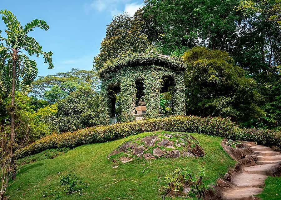 Green Rio: Guided Tour of Botanical Garden and Lage Park - Pickup and logistics: get picked up, then just walk