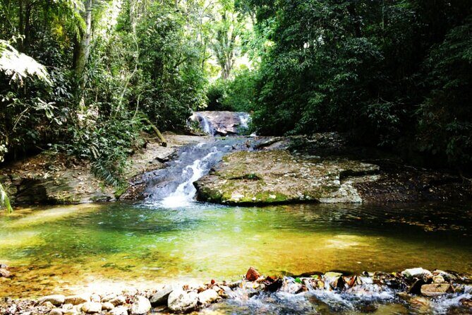 Guided Tour in Tijuca Forest with transfer - Why Tijuca Forest Feels Like a Reset From Rio