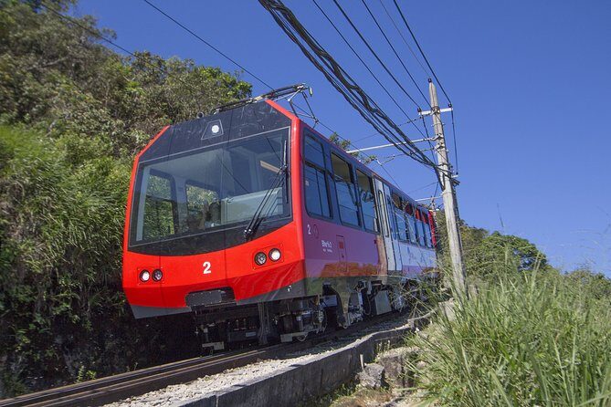Half Day in Rio: Christ by Train, Maracanã, Cathedral & Selarón - A Fast Hit of Rio Sights Without the Full-Day Chaos