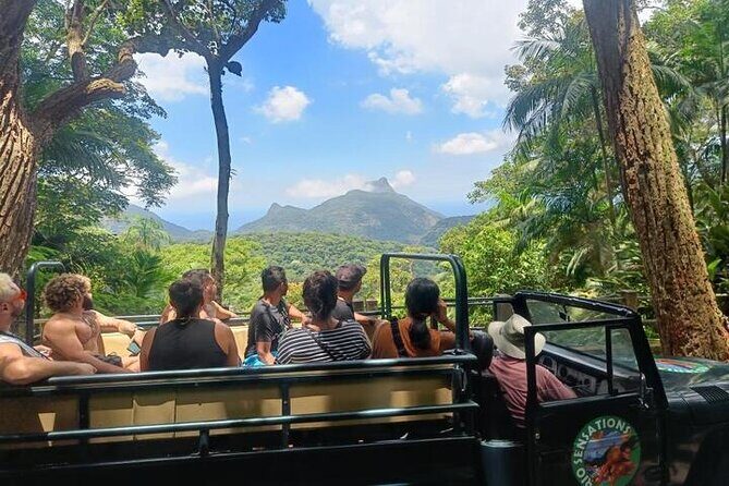 Half-Day Jeep Tour in Rio's Tijuca Rainforest and Scenic - Tijuca Rainforest by jeep: the Rio nature shortcut that actually feels wild