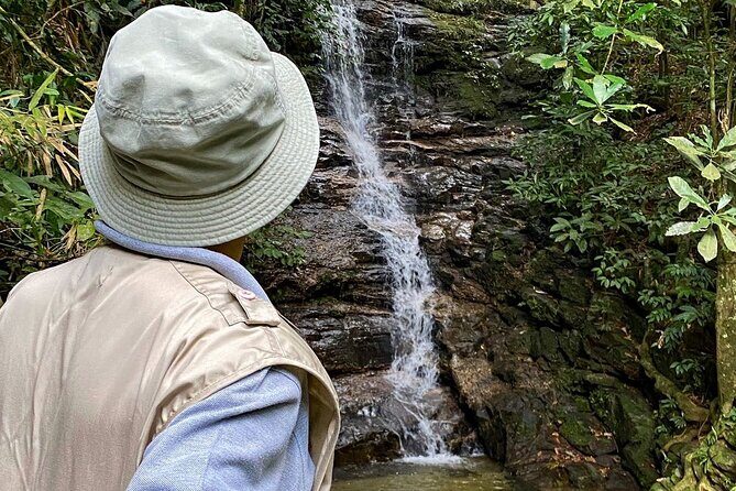 Hiking in the Tijuca Forest : Waterfalls and Caves - Tijuca National Park: the world’s largest urban rainforest (and why that’s cool)