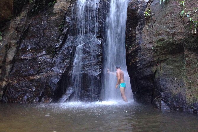 Horto Waterfalls Circuit Adventure Tour in Tijuca National Park - Horto Waterfalls: a Rio break that’s actually worth your time