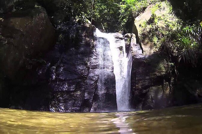 Horto Waterfalls Circuit Adventure Tour in Tijuca National Park - Waterfall stops along the circuit: where you’ll want your camera