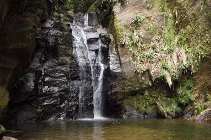 Horto Waterfalls Circuit Adventure Tour in Tijuca National Park - The role of the guide: why names like Pietro, Eduardo, and Diogo matter