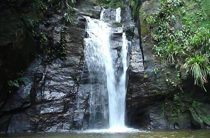 Horto Waterfalls Circuit Adventure Tour in Tijuca National Park - Weather rules: rain changes everything in Tijuca