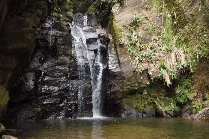 Horto Waterfalls Circuit Adventure Tour in Tijuca National Park - Getting started: the Jardim Botânico meeting point and timing feel