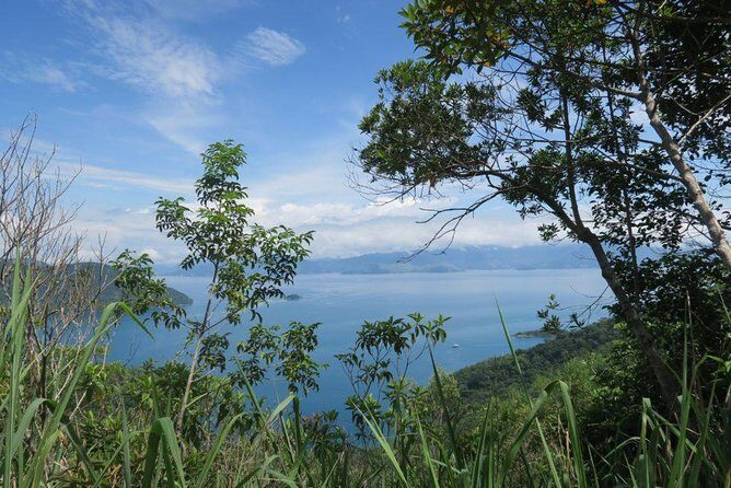 Ilha Grande Hiking Tour - Wildlife, dolphins, and why the guide route matters