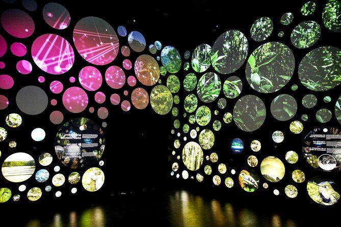 Museum of Tomorrow Guided Tour, Admission & Transfer - Getting There from Copacabana: Pickup that shapes your museum time