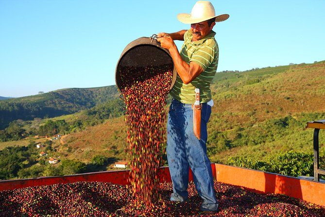 Original Historic Coffee Farm Guided Tour with Transfer - Stop-by-stop: what you’ll do in Vassouras and Barra do Pirai
