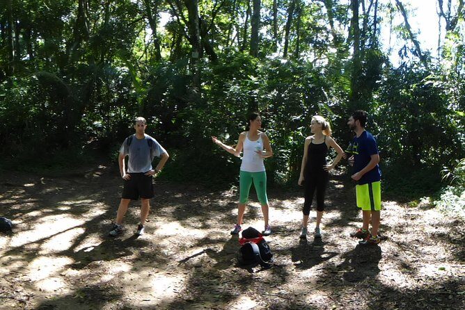 Pedra da Gávea Hiking Tour - The Most Challenge Hike in Rio de Janeiro - The Carrasqueira climb: when ropes and coaching keep you safe