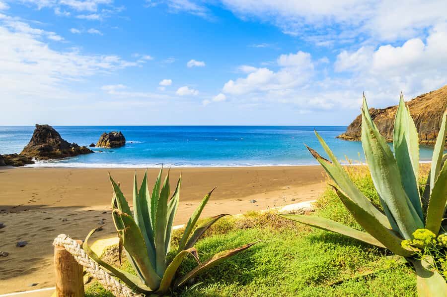 Pedra do Telégrafo Hike and Beach Full-Day Tour - Price and value: why $56 can make sense for this day