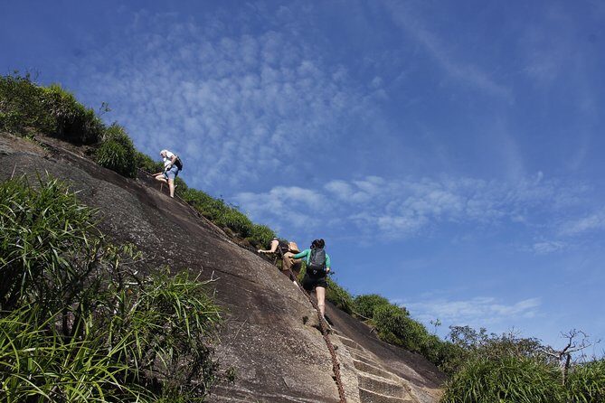 Pico da Tijuca Hiking Tour in Tijuca Forest National Park - Getting oriented inside Tijuca Forest National Park