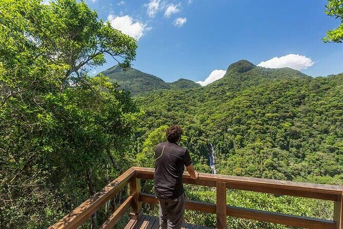 Private 6-hour Hiking Tour in the Tijuca Forest: Waterfalls, Viewpoints & Picnic - Getting there smoothly: pickup, vehicle ride, and pace