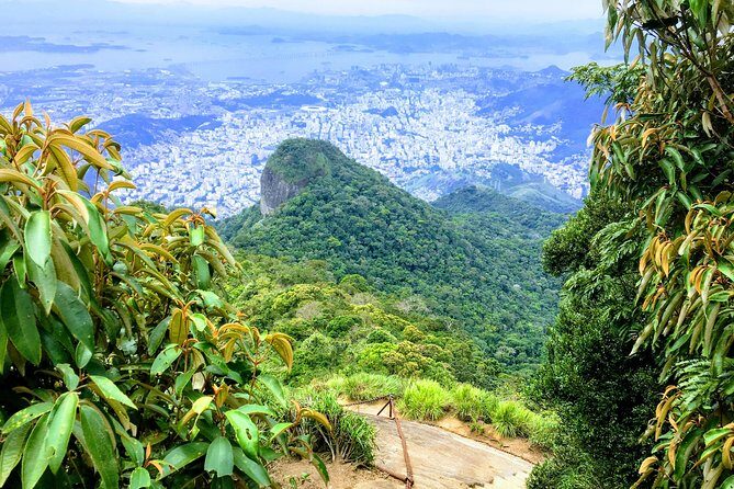 Private Hiking Tour to Tijuca Peak - Tijuca National Park - by OIR Aventura - Why Tijuca Peak is such a smart Rio hiking goal