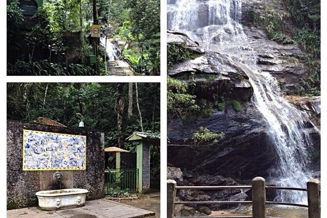 Private Hiking Tour to Tijuca Peak - Tijuca National Park - by OIR Aventura - Who should book this (and who might want a different hike)