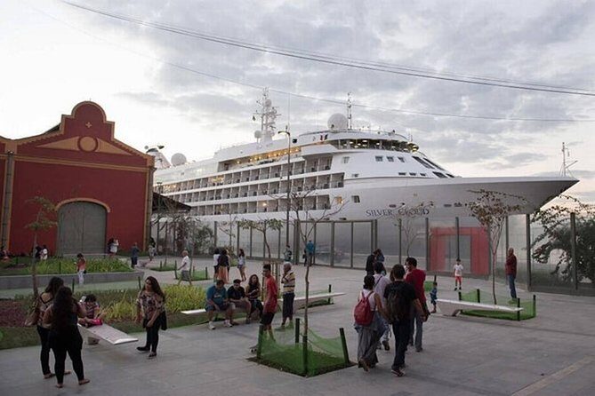 Private One Way Transfer - Rio Airports or Cruise Terminal - Airport Departure Help: Check-In Without the Stress Spiral