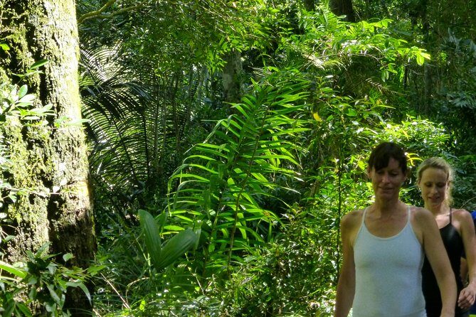 Private Tour - 5 Hours Customized Tour With a Local Guide in Rio - Prainha Beach: Atlantic Forest Edges and Low-Drama Nature Time