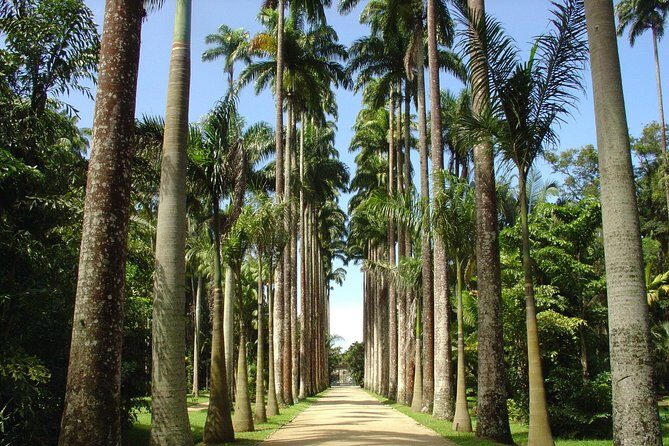 Private Tour: Explore Rio creating your own Itinerary - Botanical Garden and Its 19th-Century Buildings