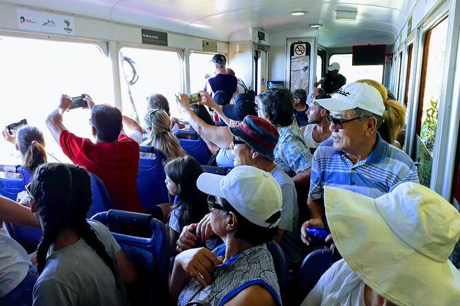 Private Tour: Rio de Janeiro Experience with Christ & Sugar Loaf - Why this private Christ and Sugarloaf day feels worth it