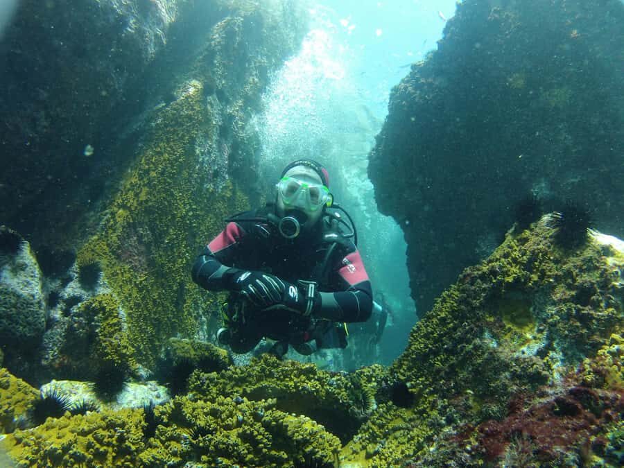 Rio: Best Dive Experience All Inclusive Scuba Diving Package - Key things that make this scuba day trip work