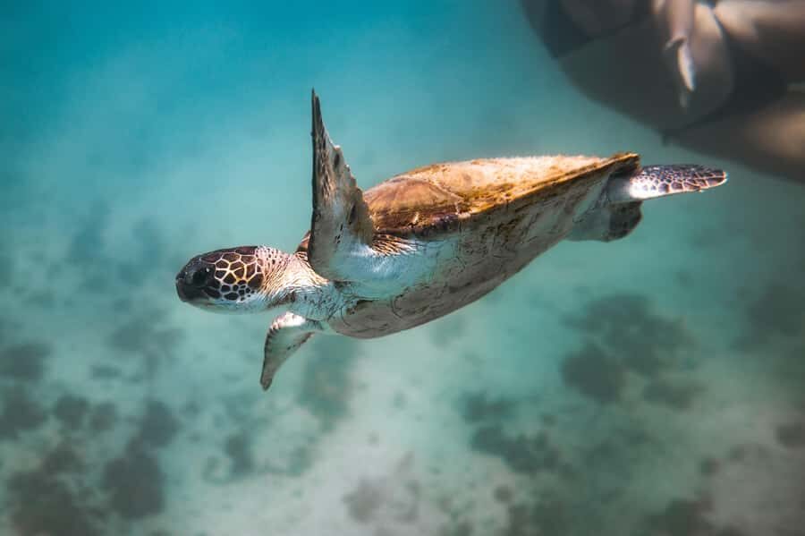 Rio: Best Dive Experience All Inclusive Scuba Diving Package - What to bring (and what to avoid) so the day stays comfortable