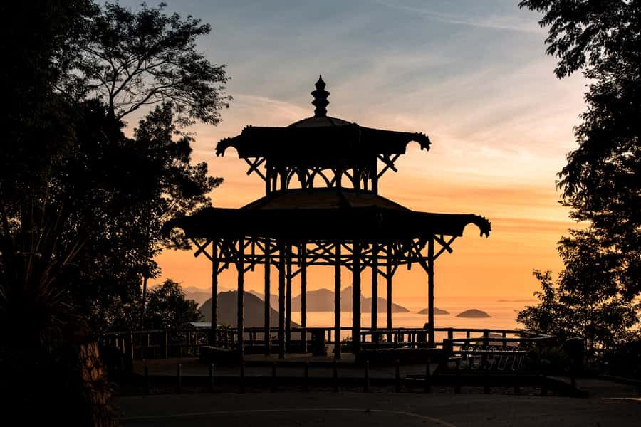 Rio: Botanical Garden, Tijuca Forest, and Parque Lage Tour - Who this tour suits best