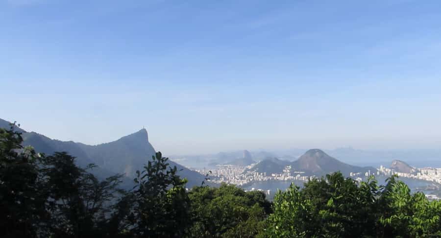 Rio: Botanical Garden, Tijuca Forest, and Parque Lage Tour - The Rio de Janeiro Botanical Garden: orchids, sensory moments, and the Central Fountain