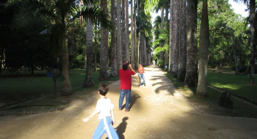 Rio: Botanical Garden, Tijuca Forest, and Parque Lage Tour - Comfort tips that make the day easier (and nicer)