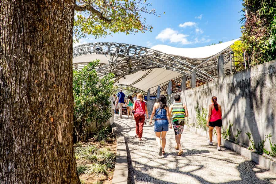Rio: Christ the Redeemer Early Access and Sugarloaf - The Drive Through Tijuca Forest and Old Districts: More Than Just Transit