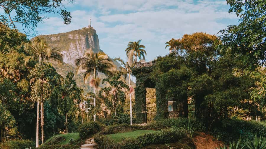 Rio de Janeiro: 4-Hour Botanical Garden & Tijuca Forest Tour - Key highlights you’ll feel right away