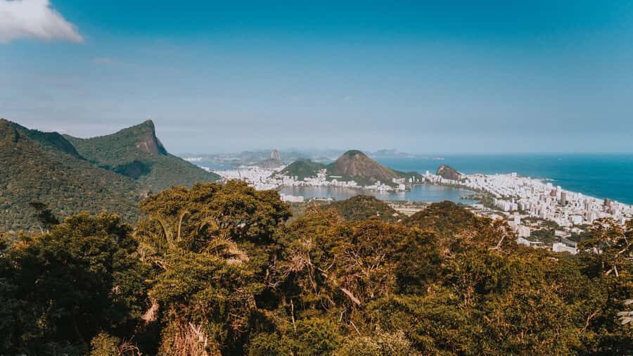 Rio de Janeiro: 4-Hour Botanical Garden & Tijuca Forest Tour - Tijuca National Forest: the trail part you actually remember