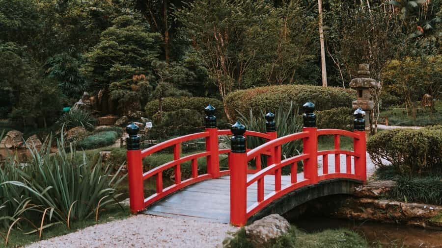 Rio de Janeiro: 4-Hour Botanical Garden & Tijuca Forest Tour - What to pack for Rio heat, shade, and sudden weather
